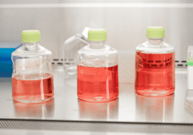 Photo of 3 vials of red fluid