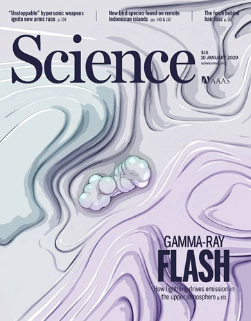 Cover of the July 3, 2025 issue of SCIENCE magazine.